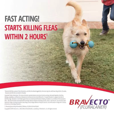 Bravecto Chews for Dogs – Pet Stop