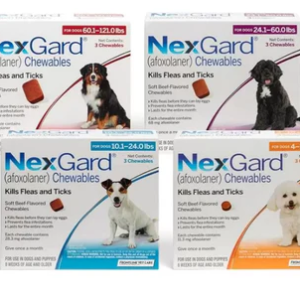 Nexgard for Dogs and Puppies