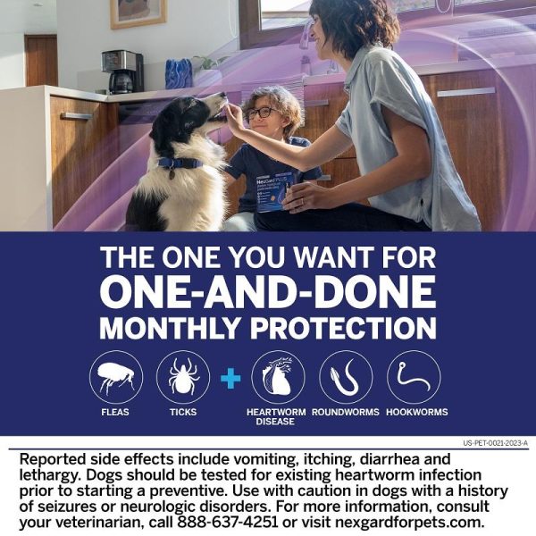 NexGard PLUS Chew for Dogs - Image 7