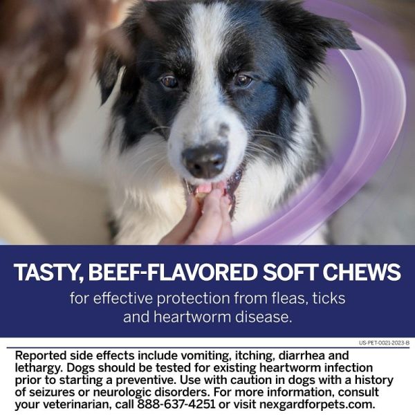 NexGard PLUS Chew for Dogs - Image 8