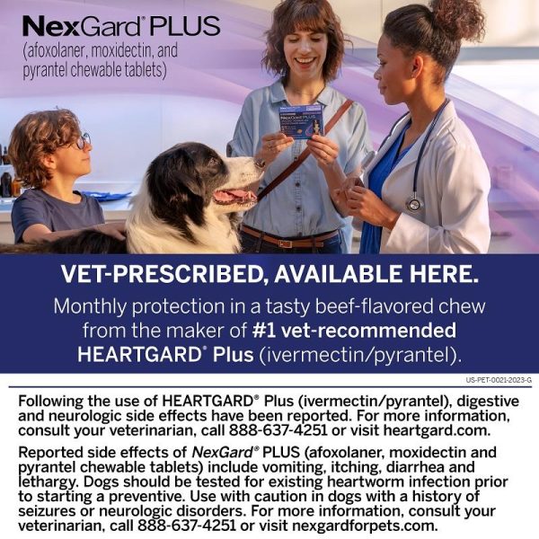 NexGard PLUS Chew for Dogs - Image 9
