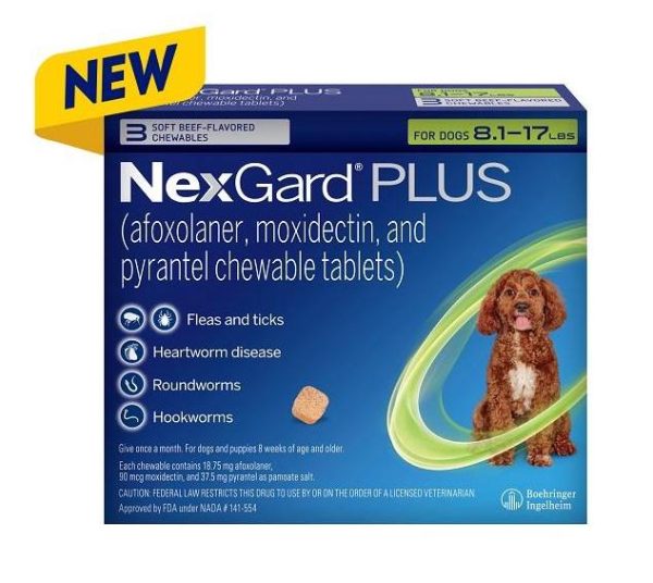 NexGard PLUS Chew for Dogs - Image 3