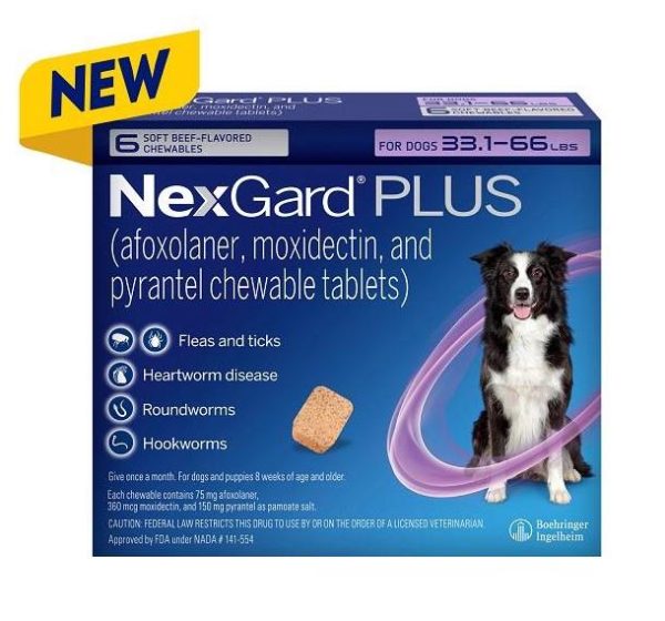 NexGard PLUS Chew for Dogs - Image 5