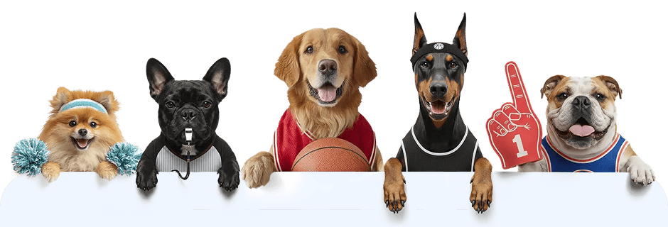 Slam Dunk Dogs