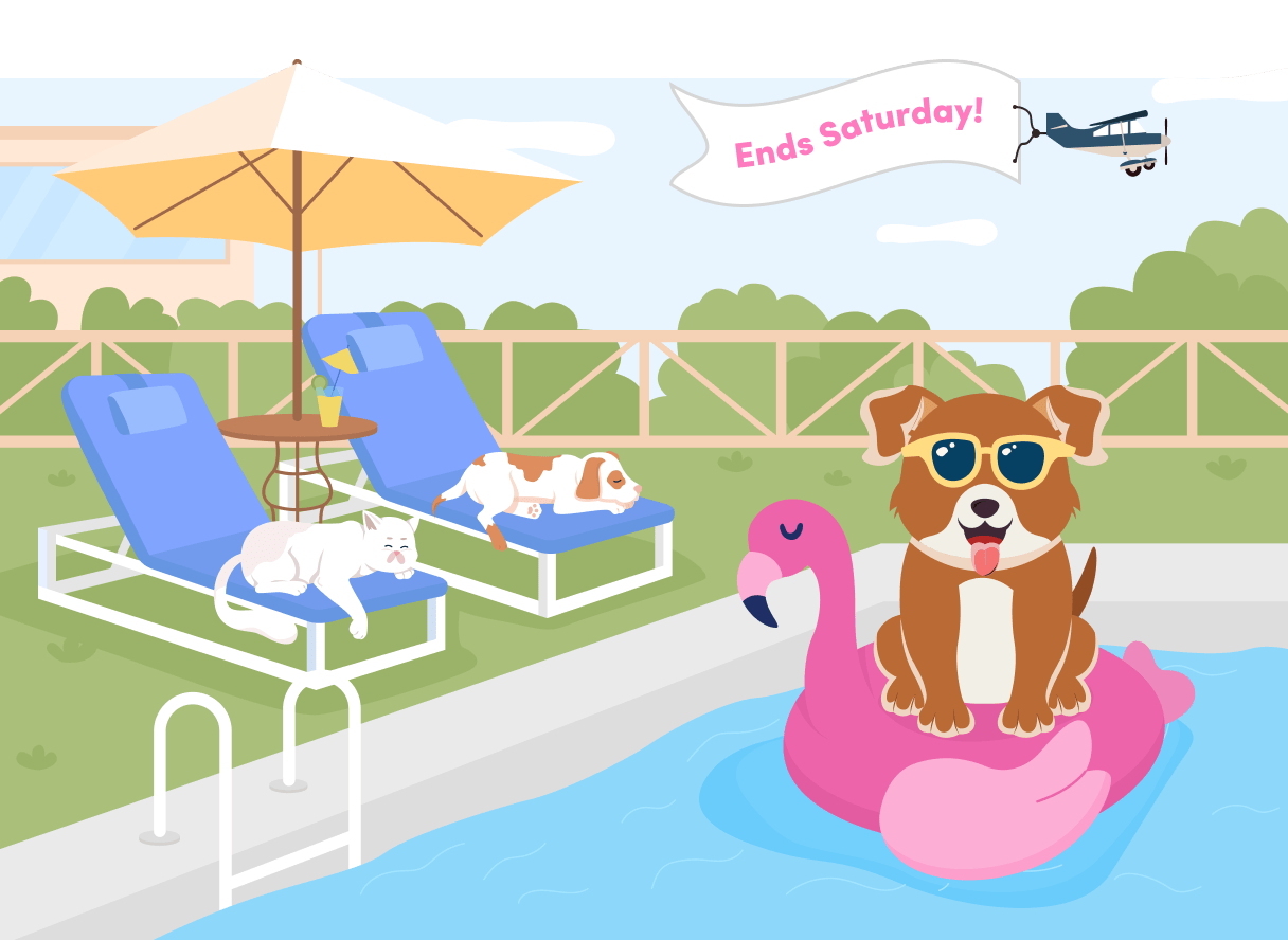 Summer Pool Day Illustration