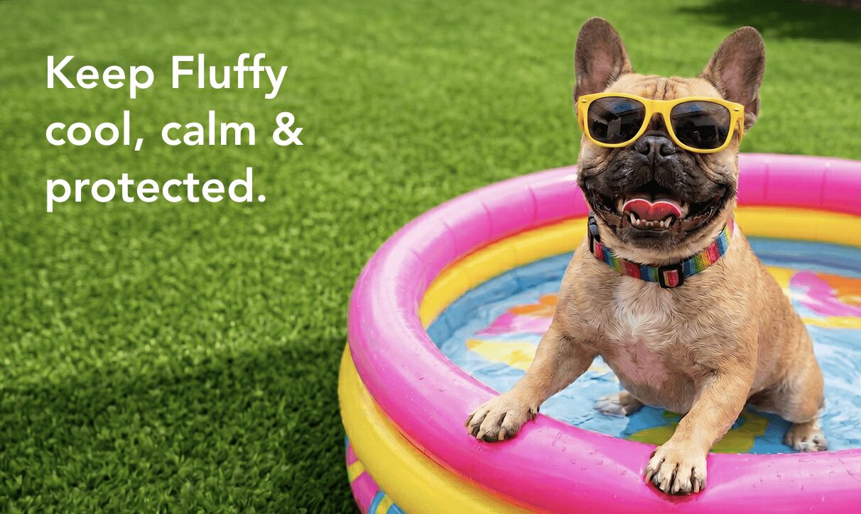 Keep Fluffy cool, calm & protected.