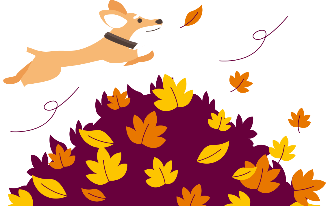 Dog jumping into fall leaves